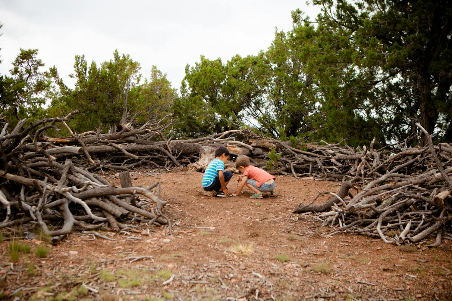Two children crouching on dirt ground surrounded by piles of branches