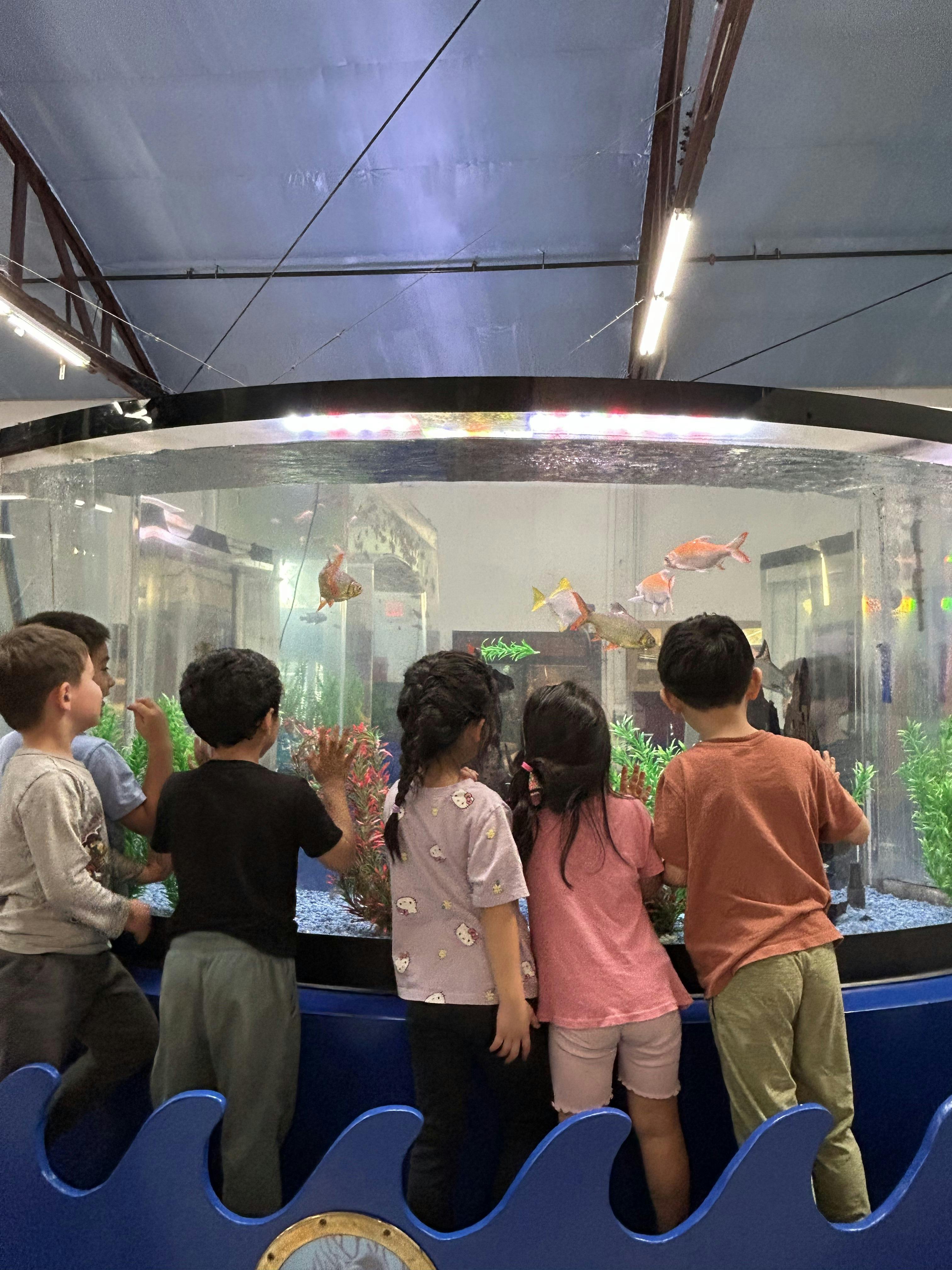 Group of children observing fish in a large aquarium