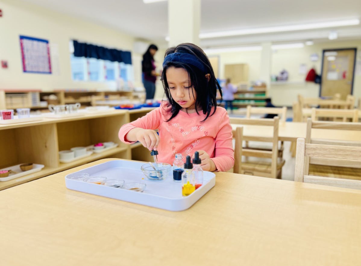 Child using a dropper with colorful liquids at a table in a classroom