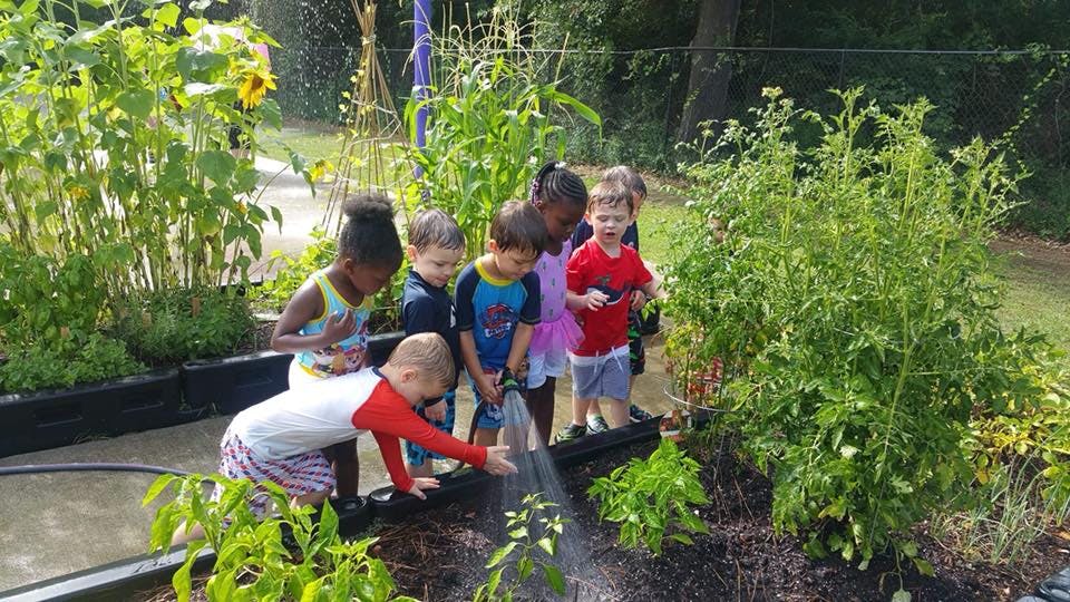 Children watering plants in a garden