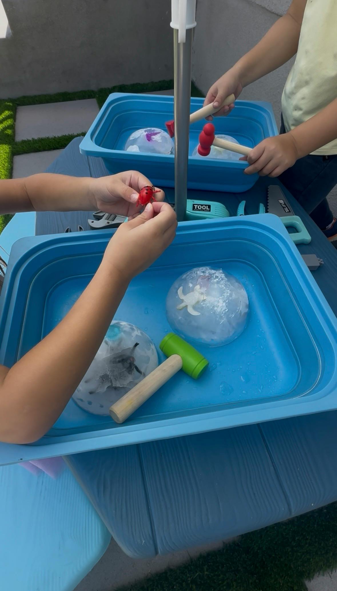 Children using toy hammers to break apart ice blocks containing plastic animals