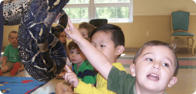 Children looking at a large snake