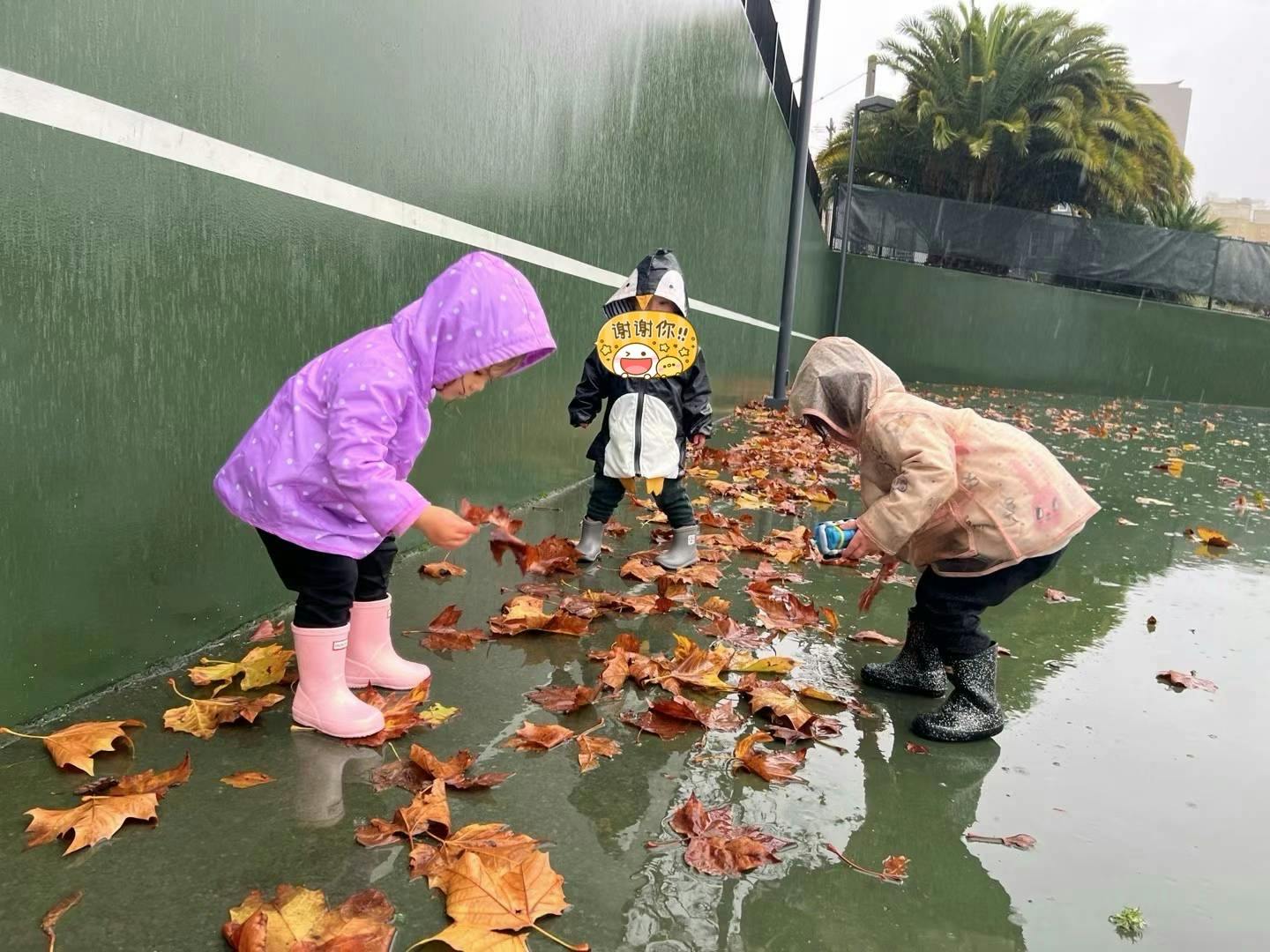 Three children in rain gear playing with leaves on a wet surface