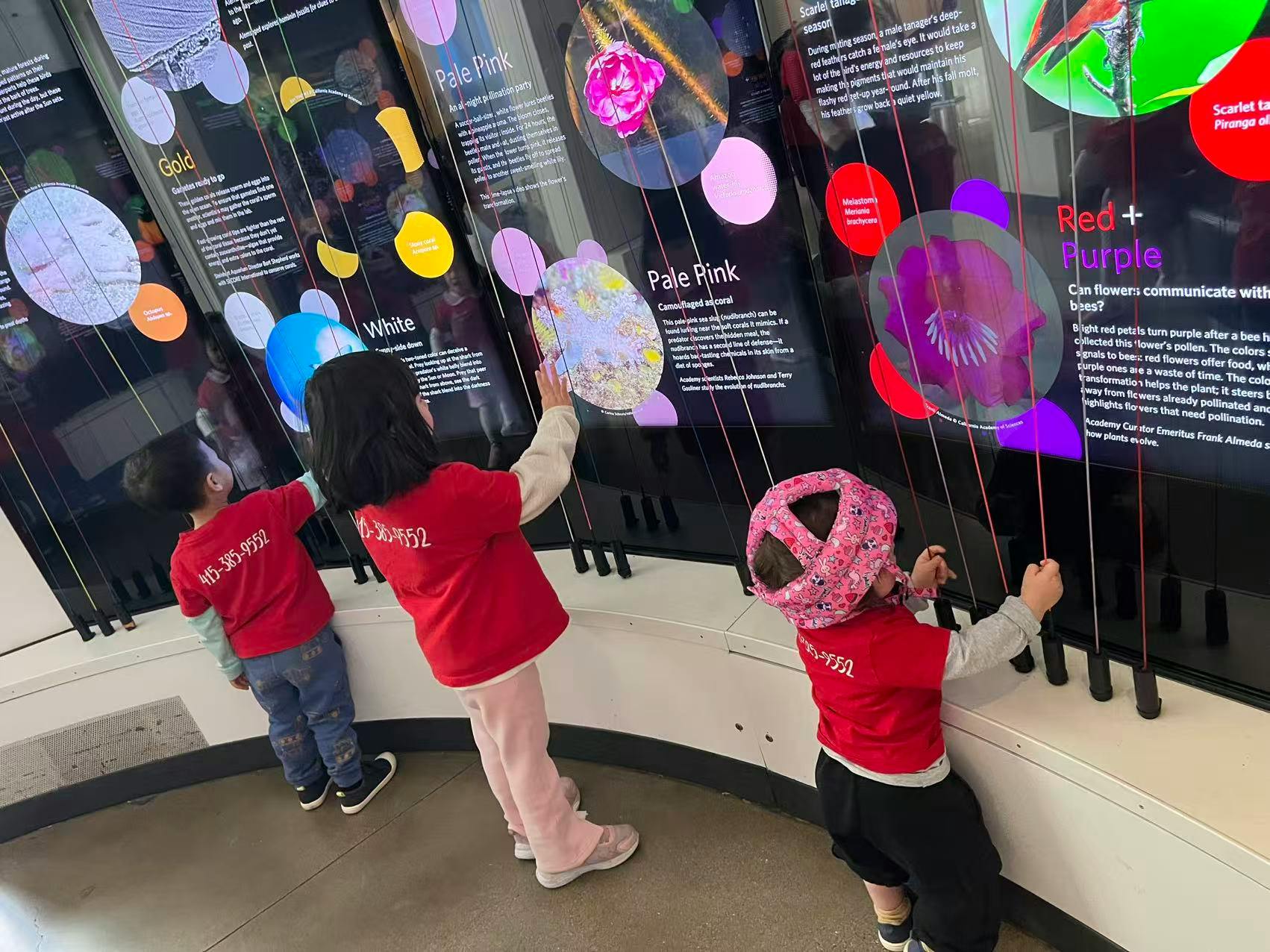 Three children playing with an interactive exhibit that resembles a harp