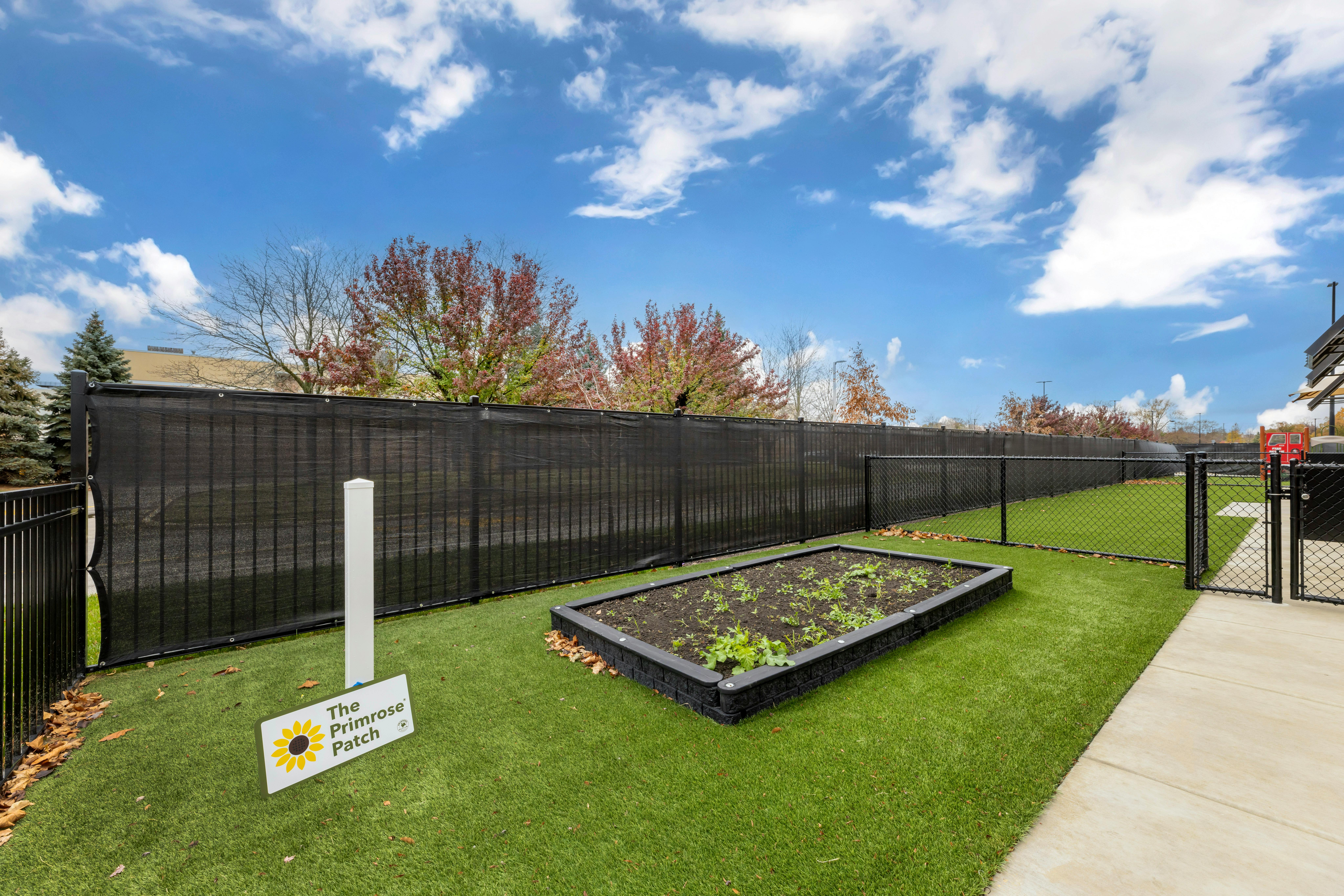Raised garden bed with seedlings in an outdoor fenced area with artificial turf