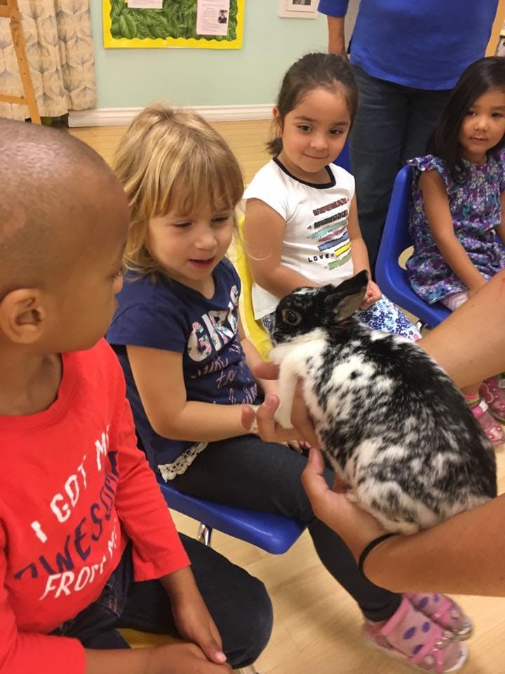 Children sitting and looking at a person holding a rabbit