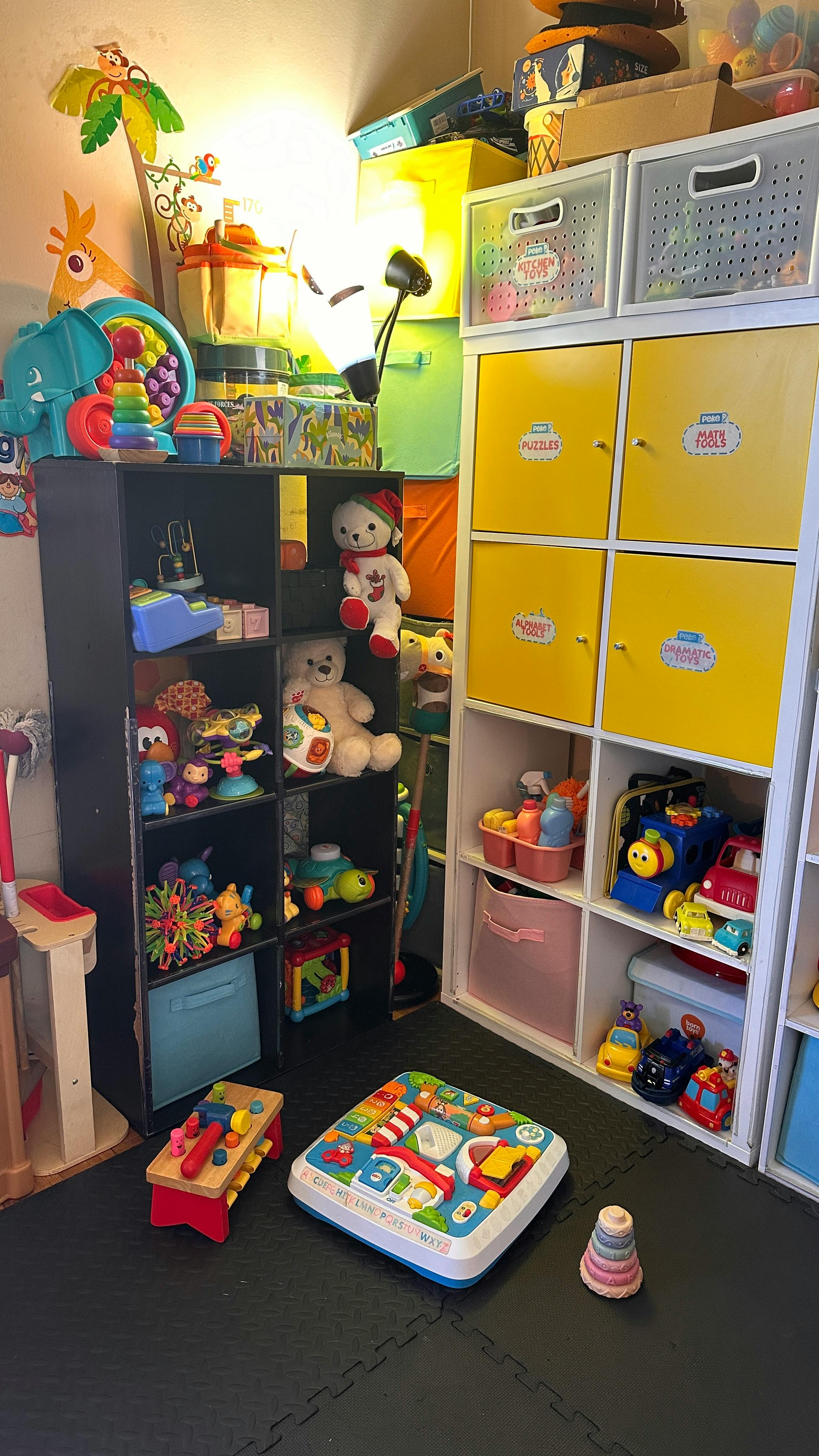 Room with shelves full of toys and stuffed animals
