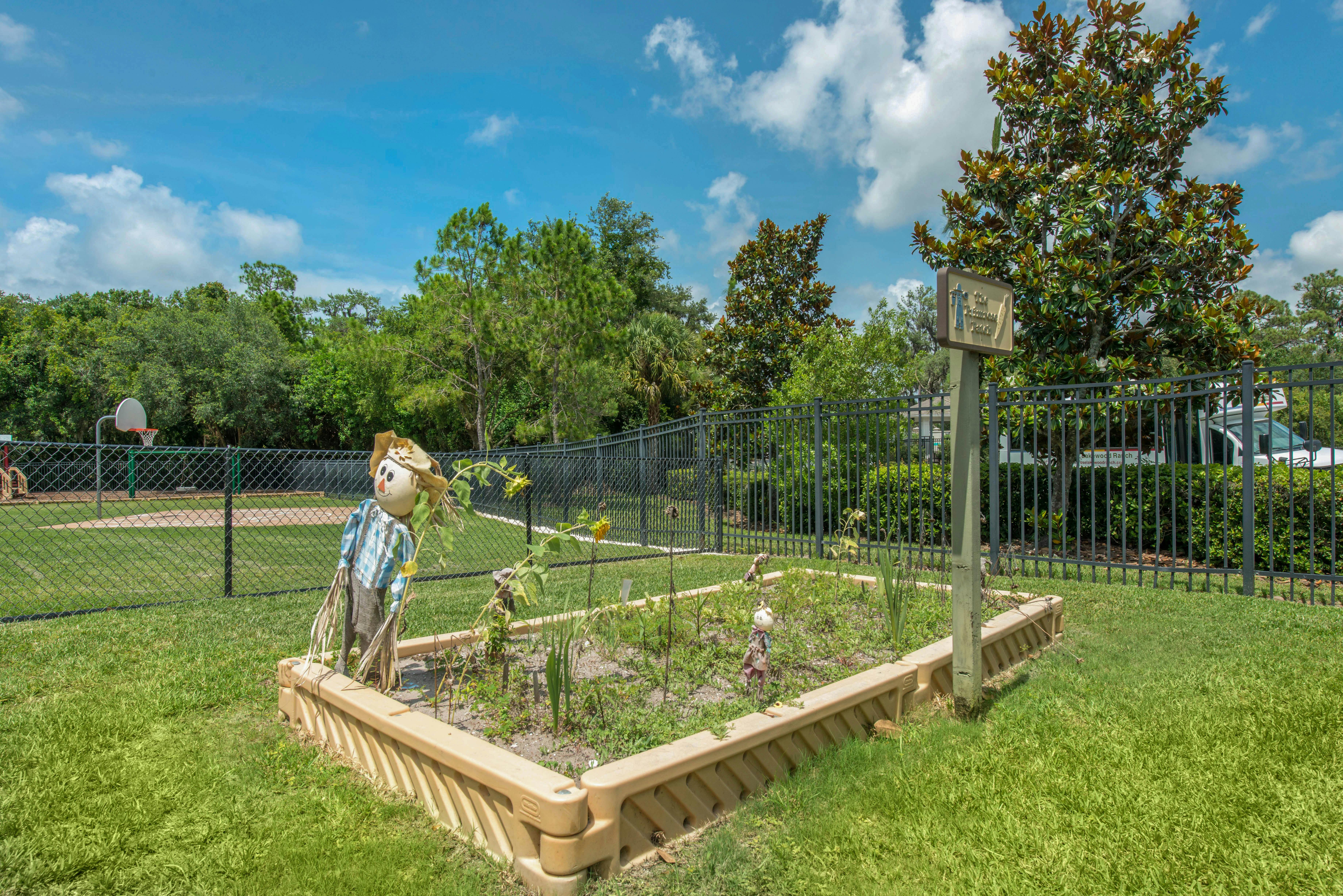 Raised garden bed with a scarecrow, garden plants, and a sign in a grassy area