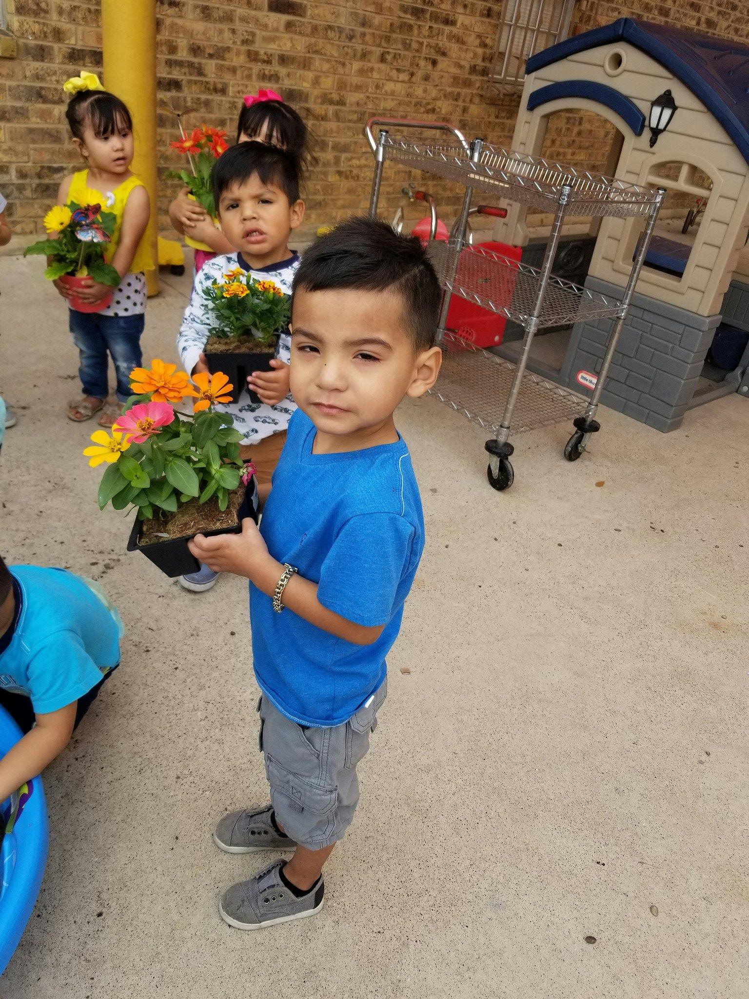 Child in blue shirt holding a potted plant with orange and pink flowers