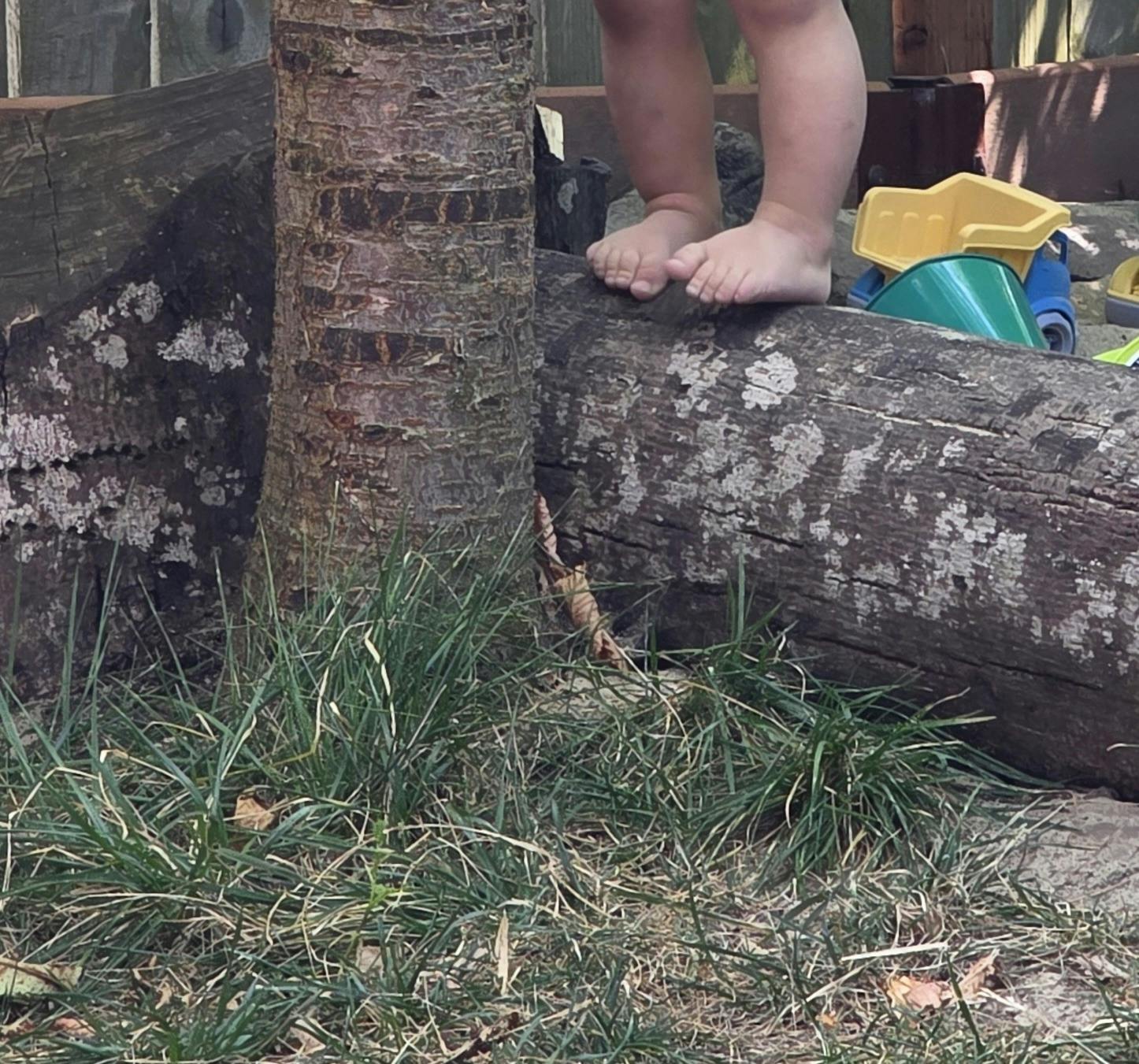 Child standing barefoot on a large log