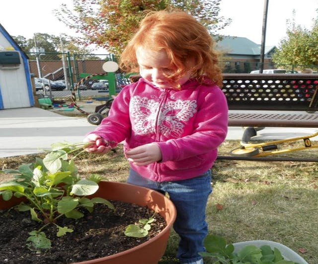 Child tending to plants in a pot outdoors