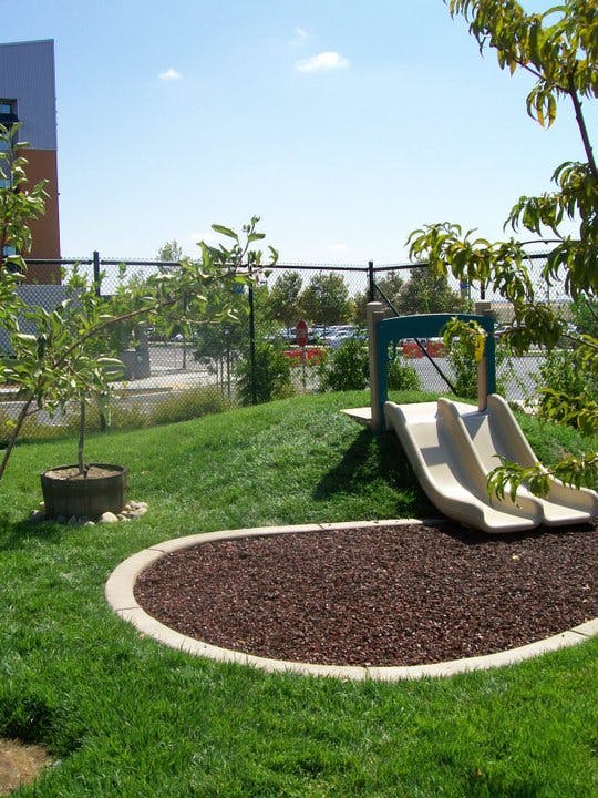 Playground with a double slide on a grassy hill