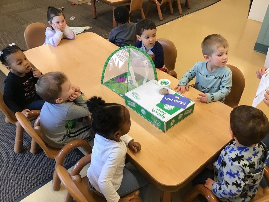 Children gathered around a table with a butterfly farm kit