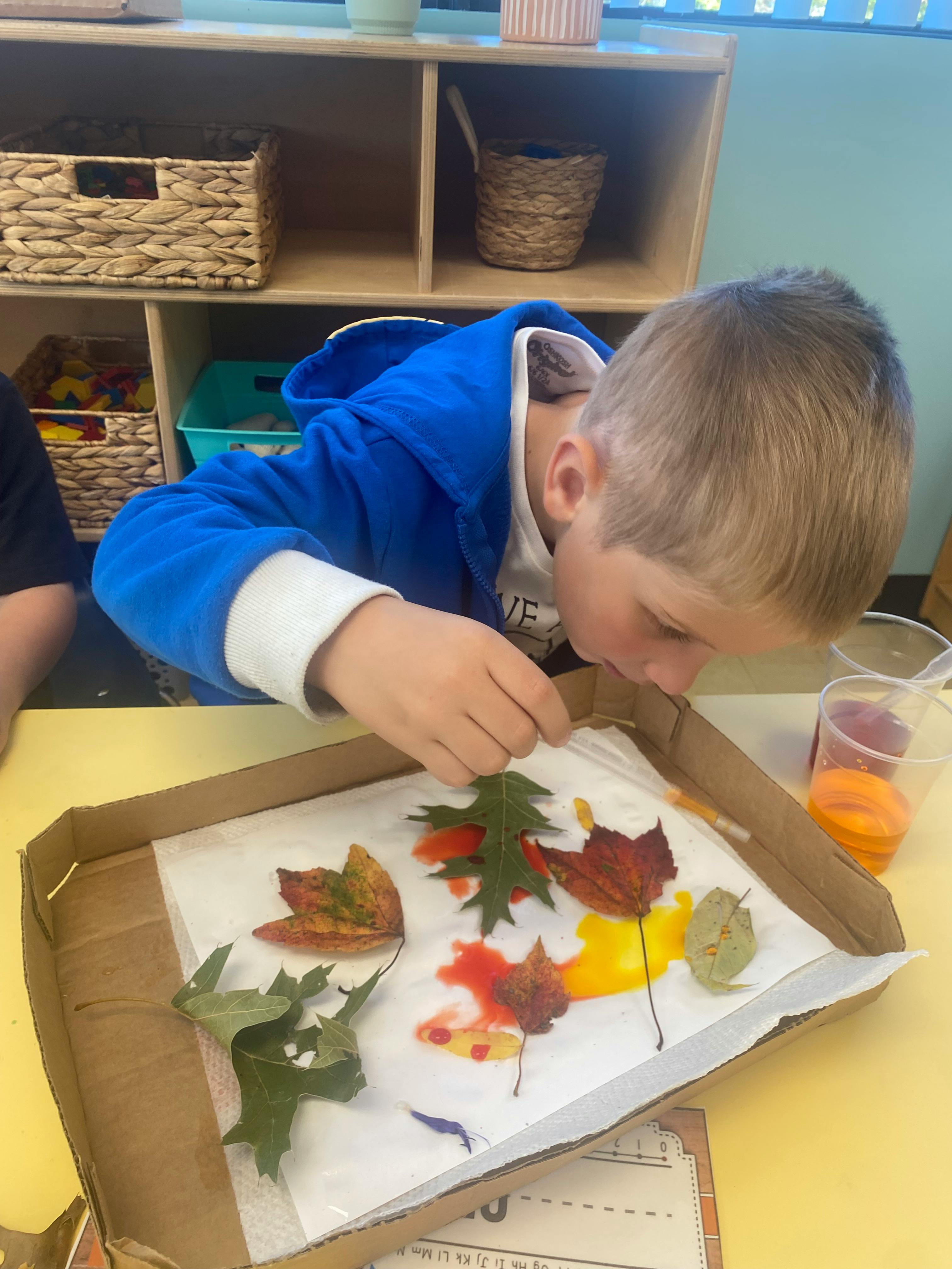 Child arranging colorful leaves in a box