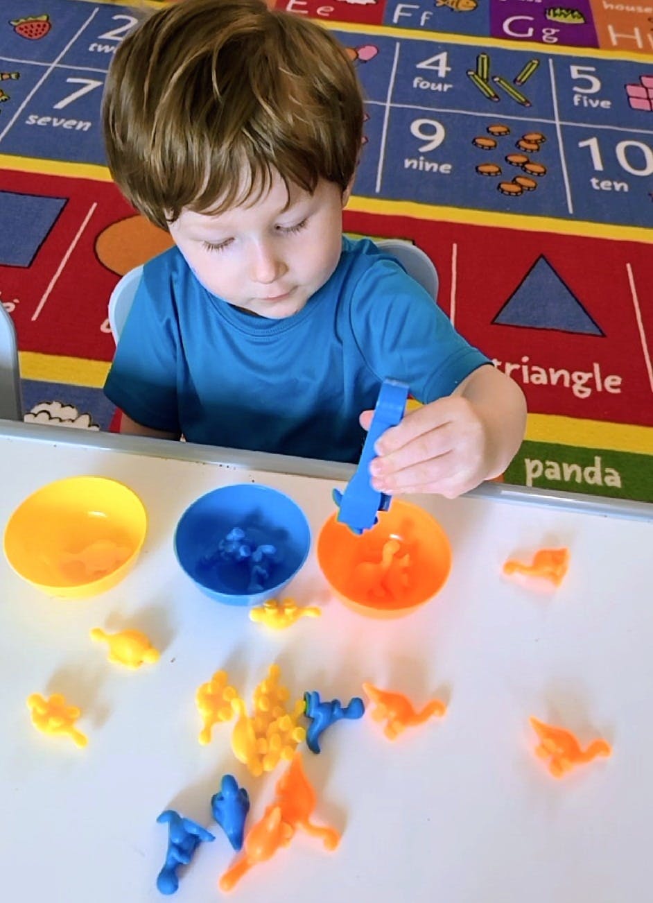 Child sorting small plastic dinosaurs into bowls with a blue sorting tool