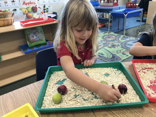 Child playing with small objects in a tray of oats in a classroom
