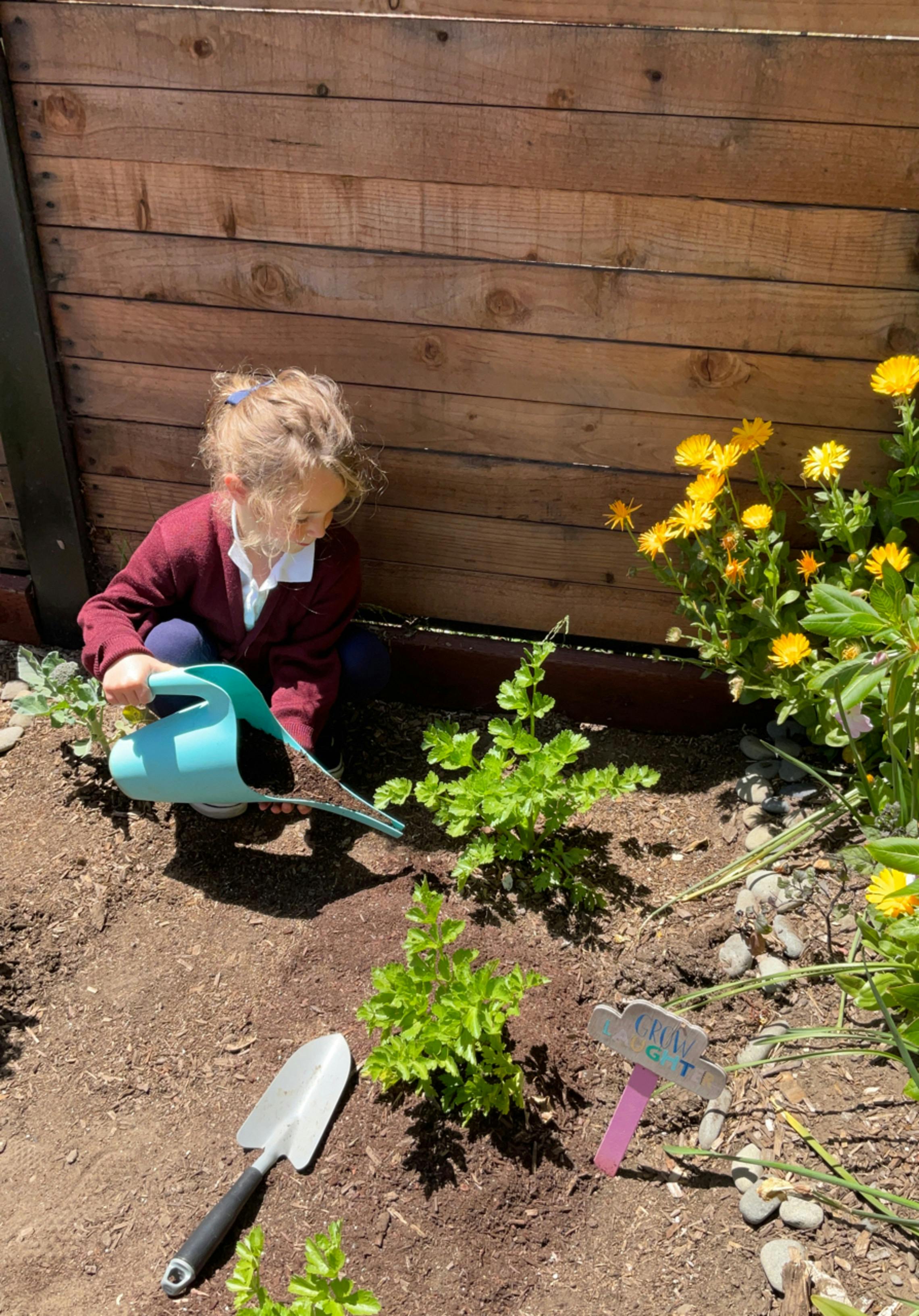 Child watering plants in a garden