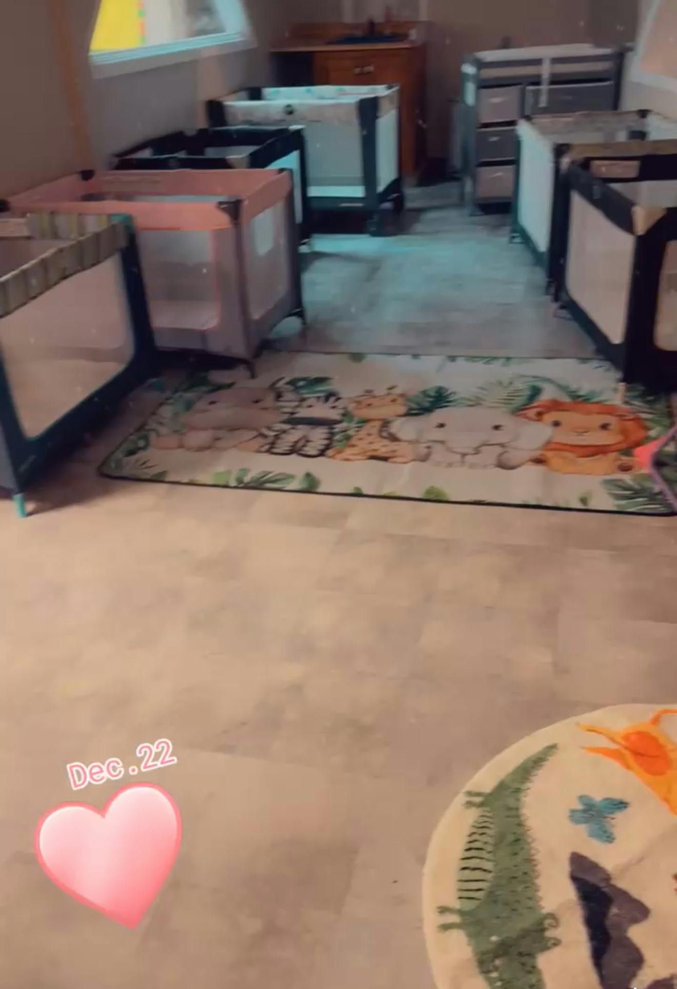 multiple baby cribs in a room with a jungle animal rug