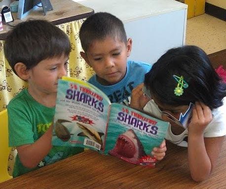 Three children reading a book titled "10 Terrifying Sharks"