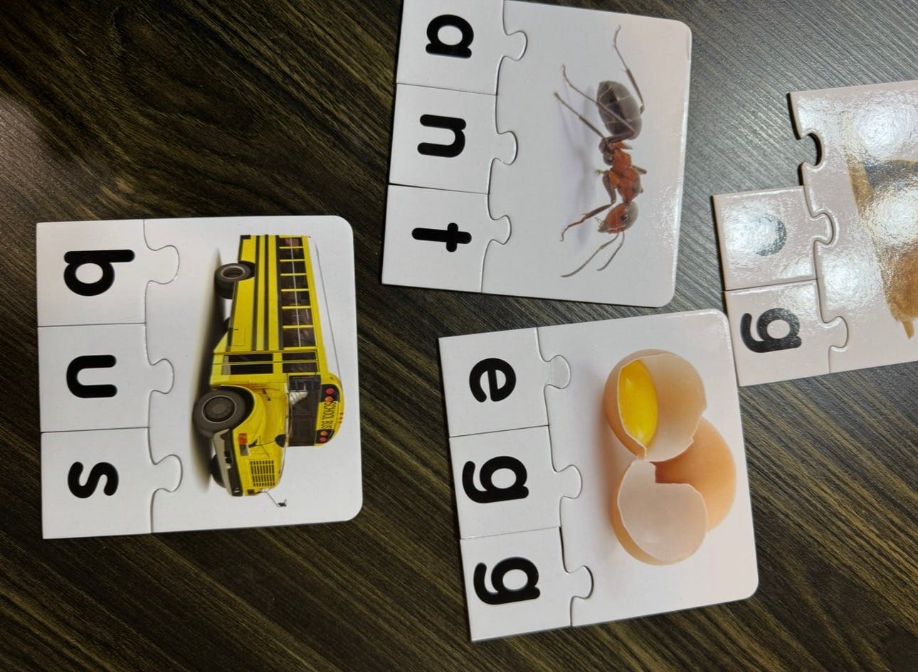 Close up of several word puzzles, including bus, ant, and egg