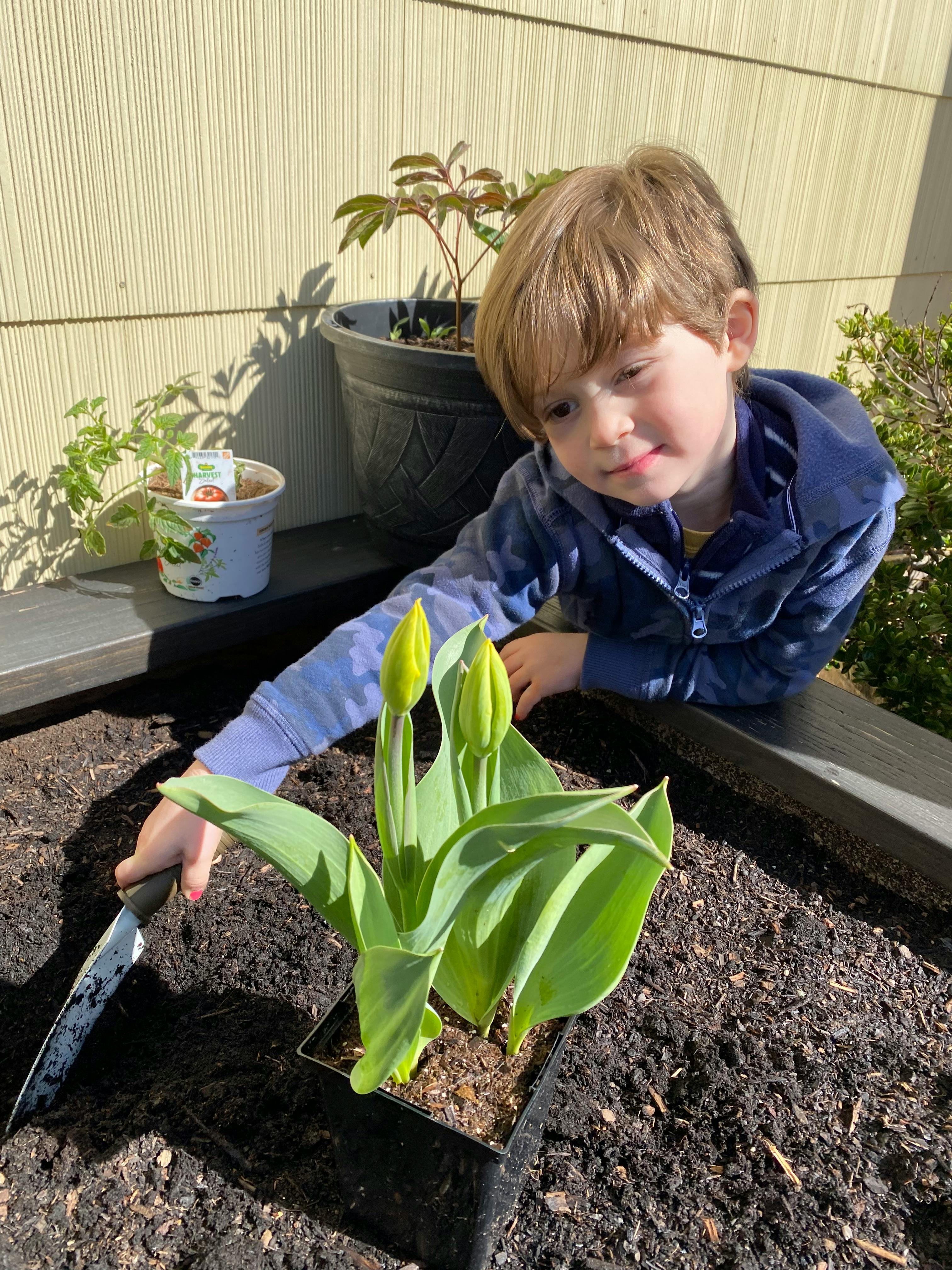 Child using a small hand shovel in a garden bed next to plants