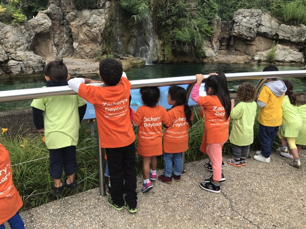 Children in orange shirts looking over a railing at water