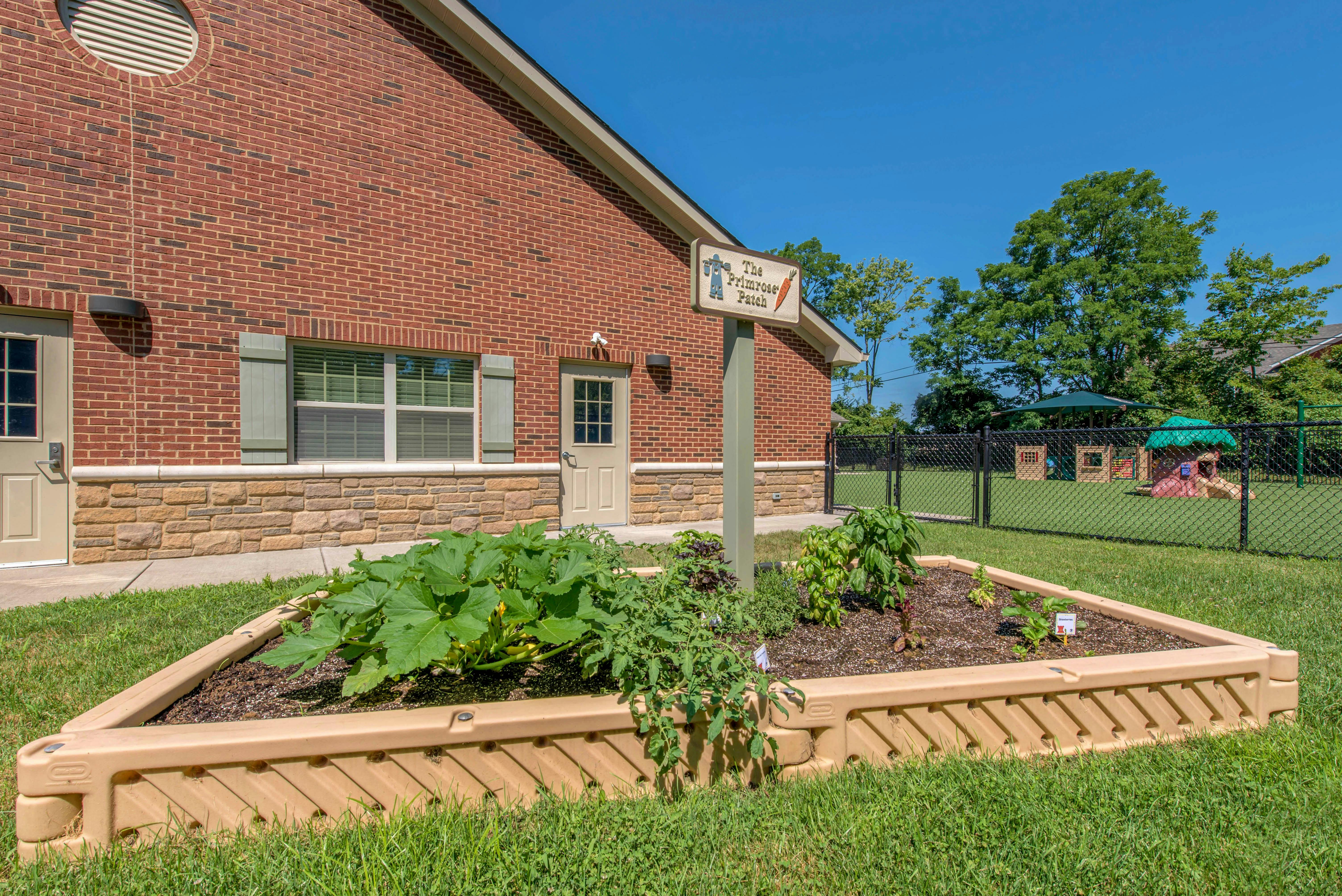 Raised garden bed with various plants next to a brick building
