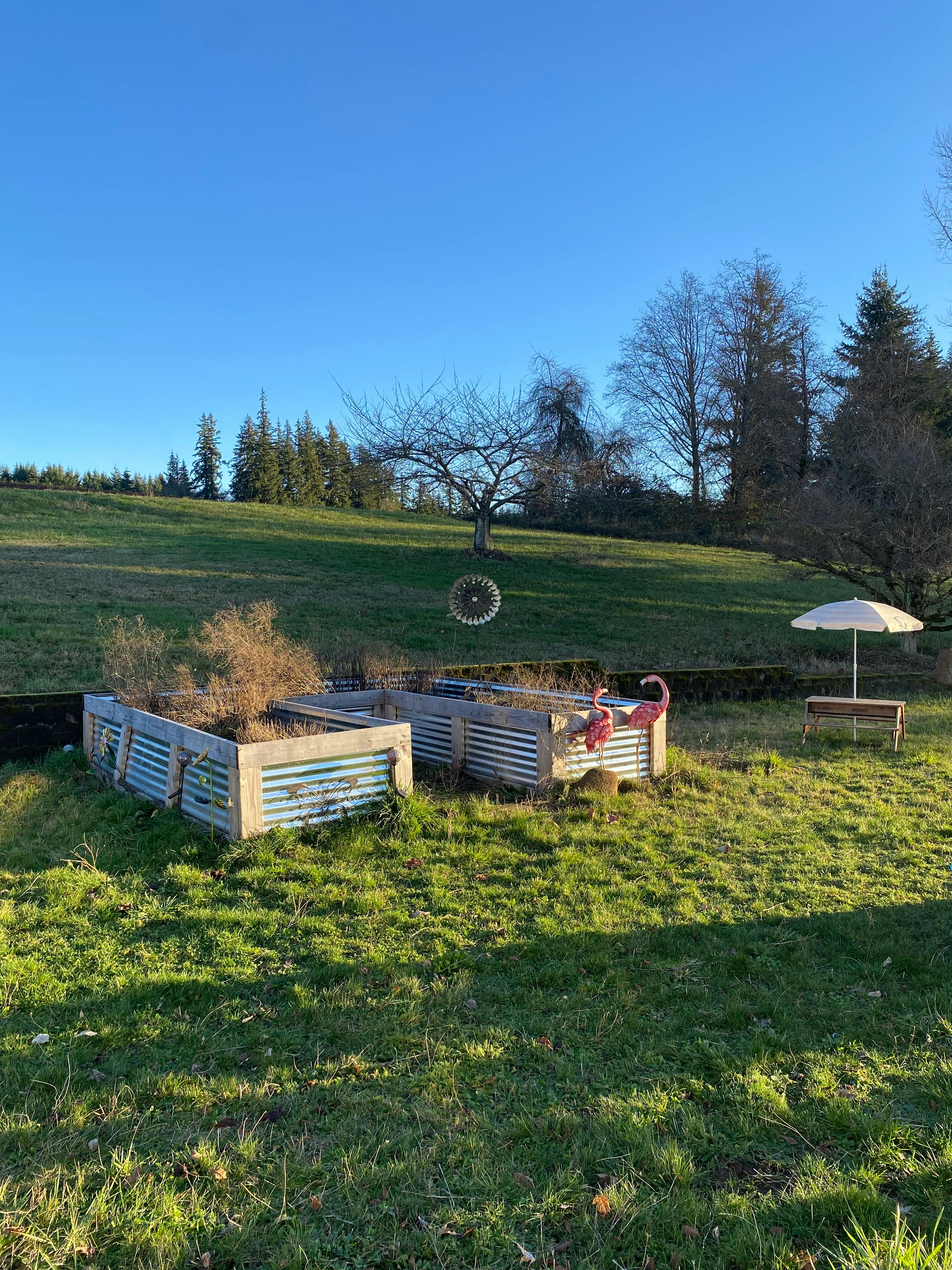 Raised garden beds in a grassy field with trees and a blue sky