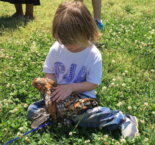 Child sitting in grass holding a chicken