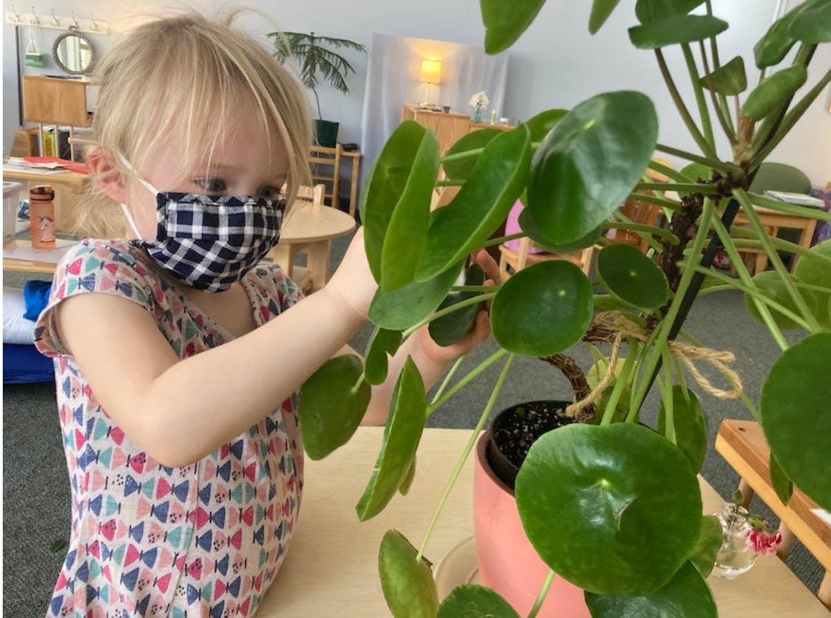 Sunny Hollow Montessori - Preschool in Saint Paul, MN - Winnie