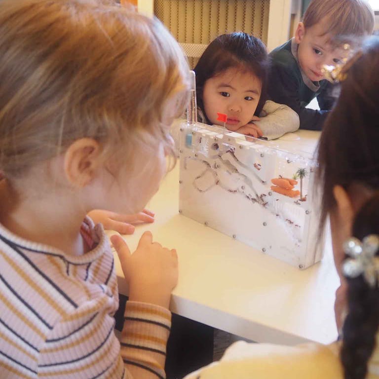 Children looking at a decorated box on a table