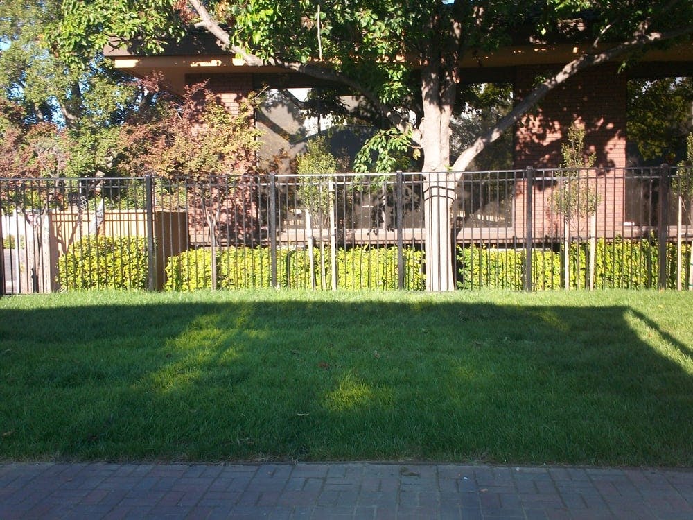 Green lawn with a black metal fence and trees in the background
