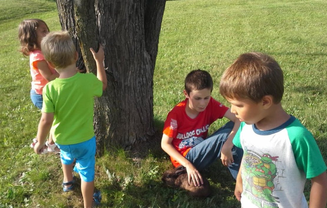 Children playing outdoors near a tree