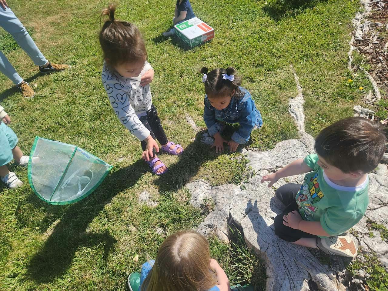 Children gathering around a tree stump in a grassy area