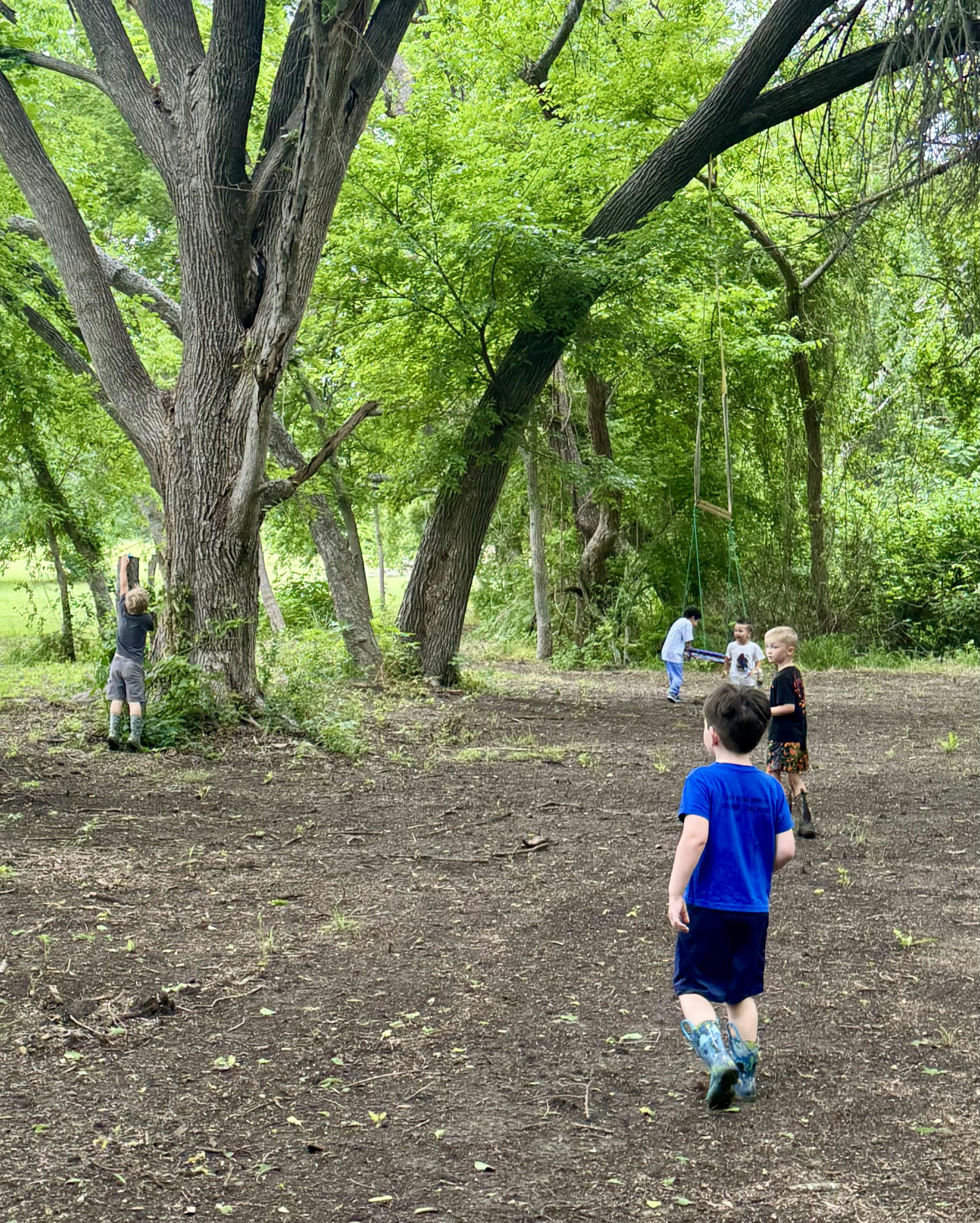 Children playing outdoors in a wooded area