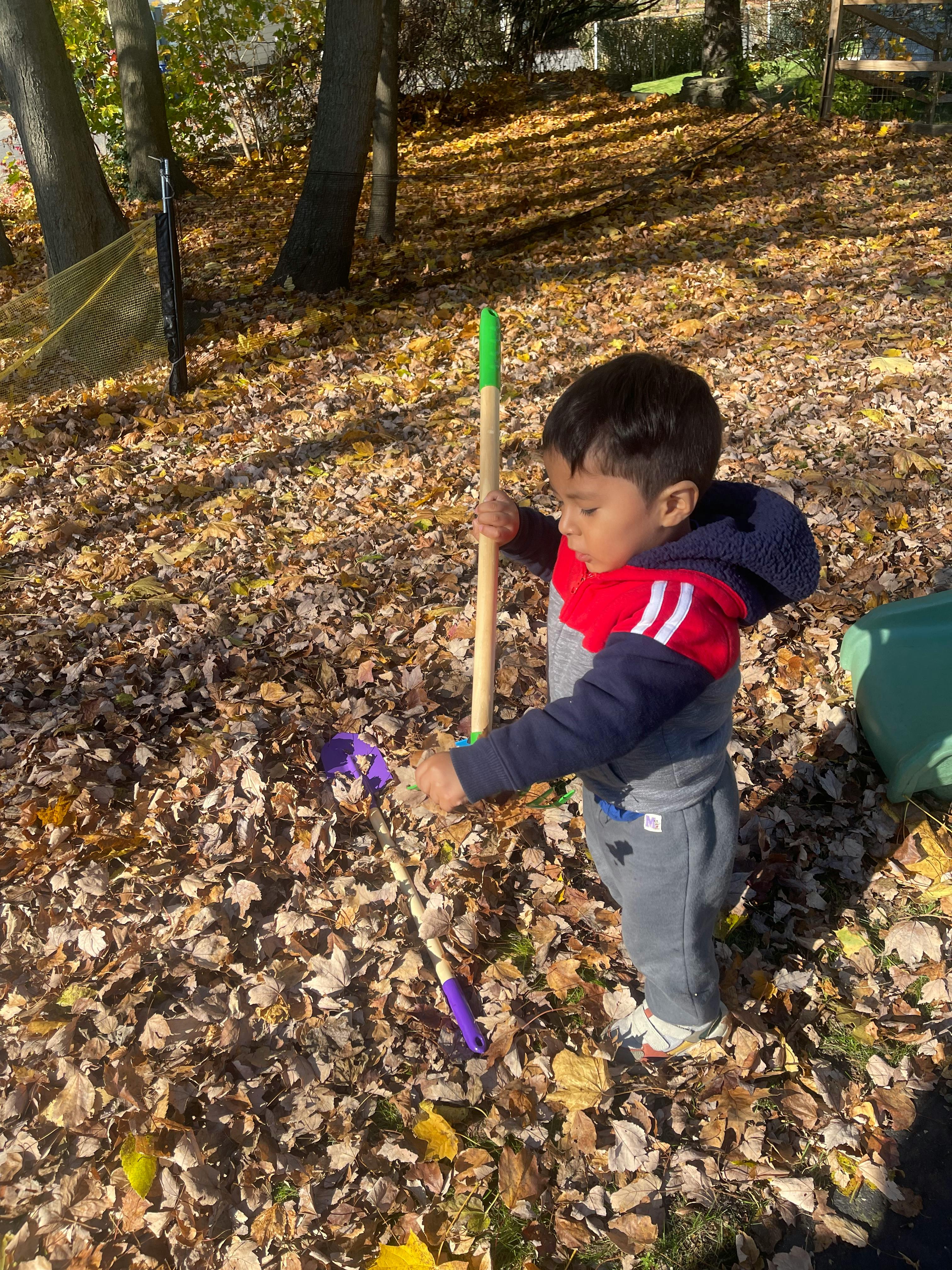 Child playing with a stick and toy rake in a pile of leaves