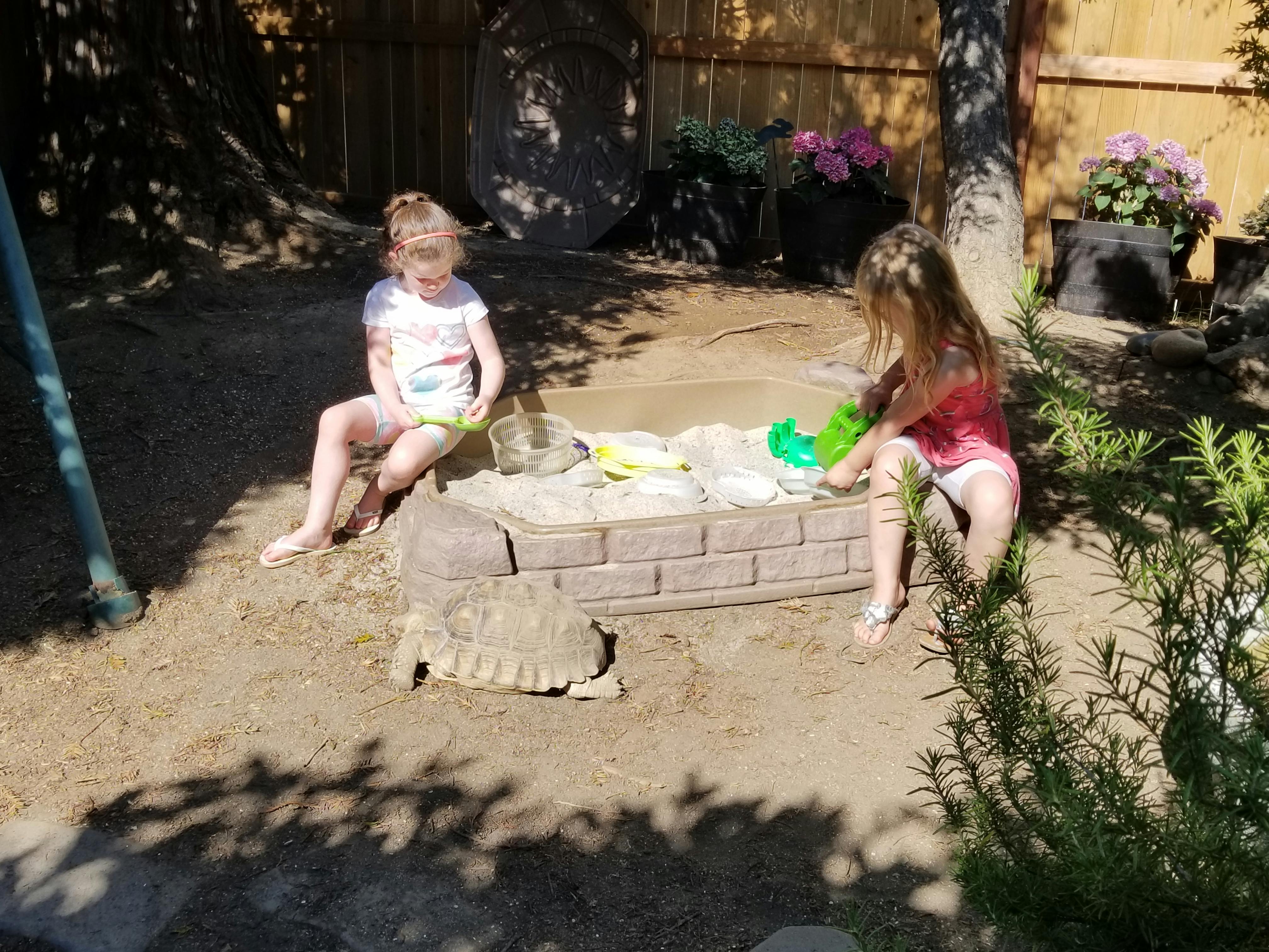 Two children playing in a sandbox