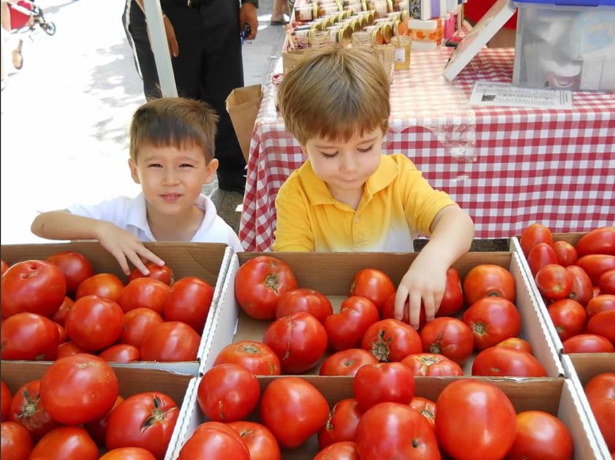 Two children looking at boxes of tomatoes