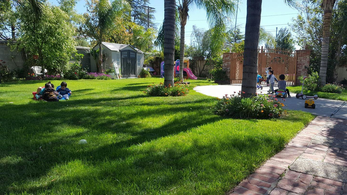Children playing outdoors on grass and paved area