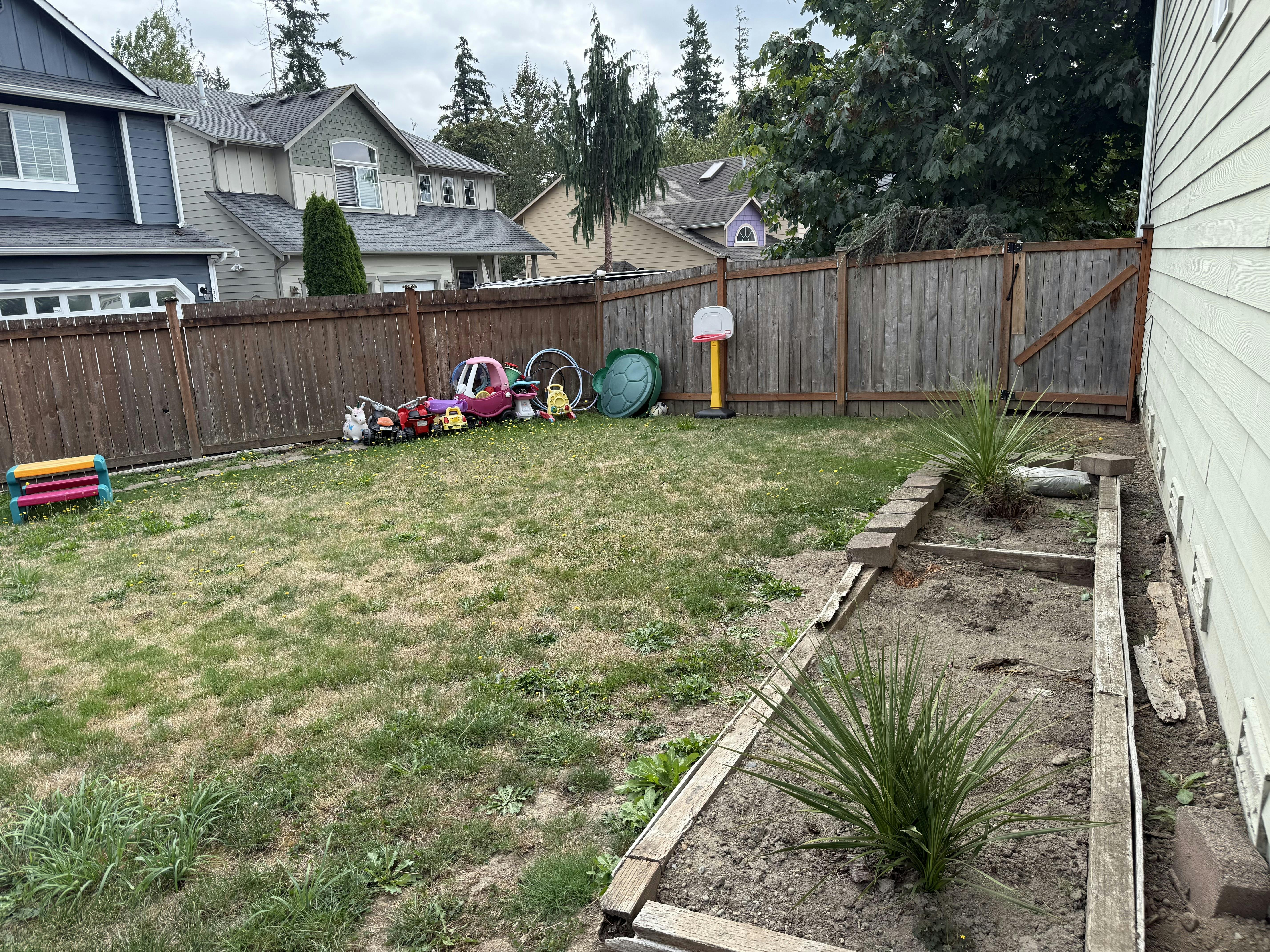Backyard with grass, raised garden beds, and children's toys