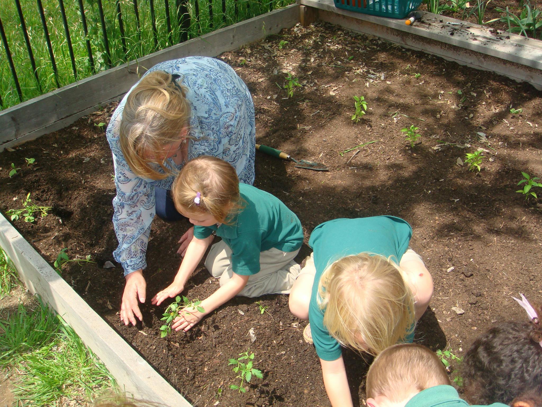 Adult and children planting in a garden bed