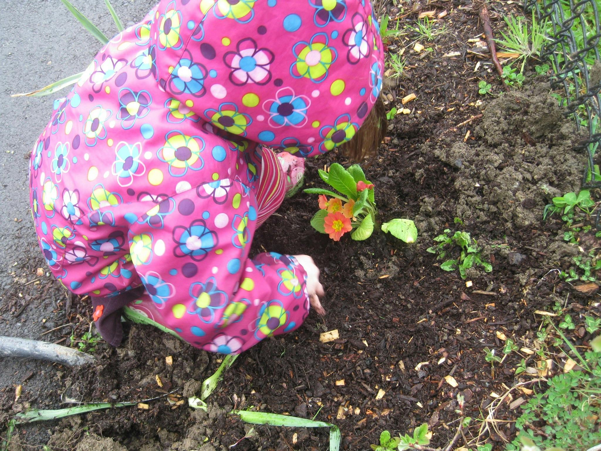 Child kneeling on the ground planting a flower