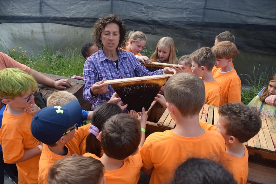 Person holding a beehive frame for children to observe