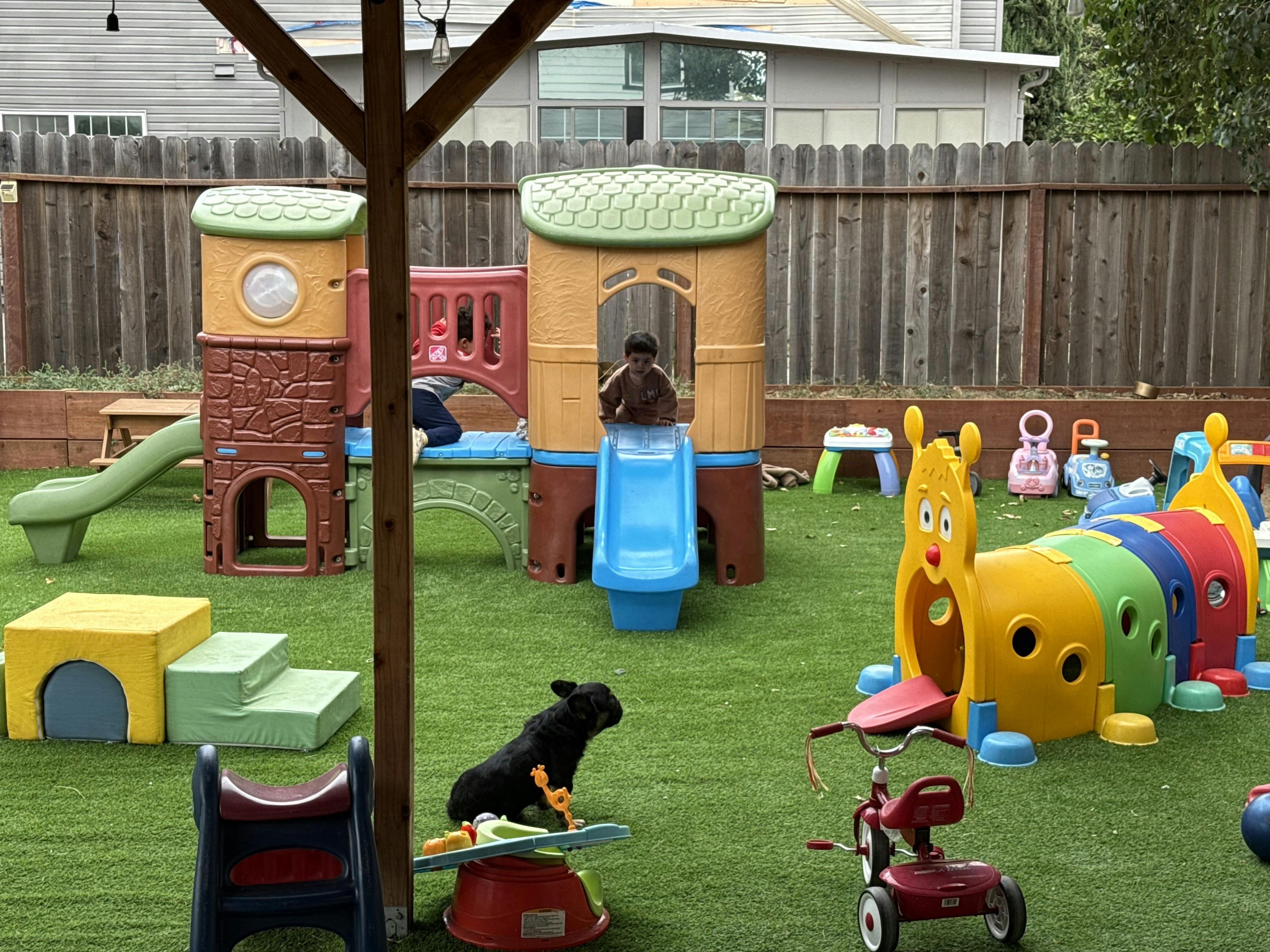 Children playing on a backyard playground structure with a dog sitting nearby