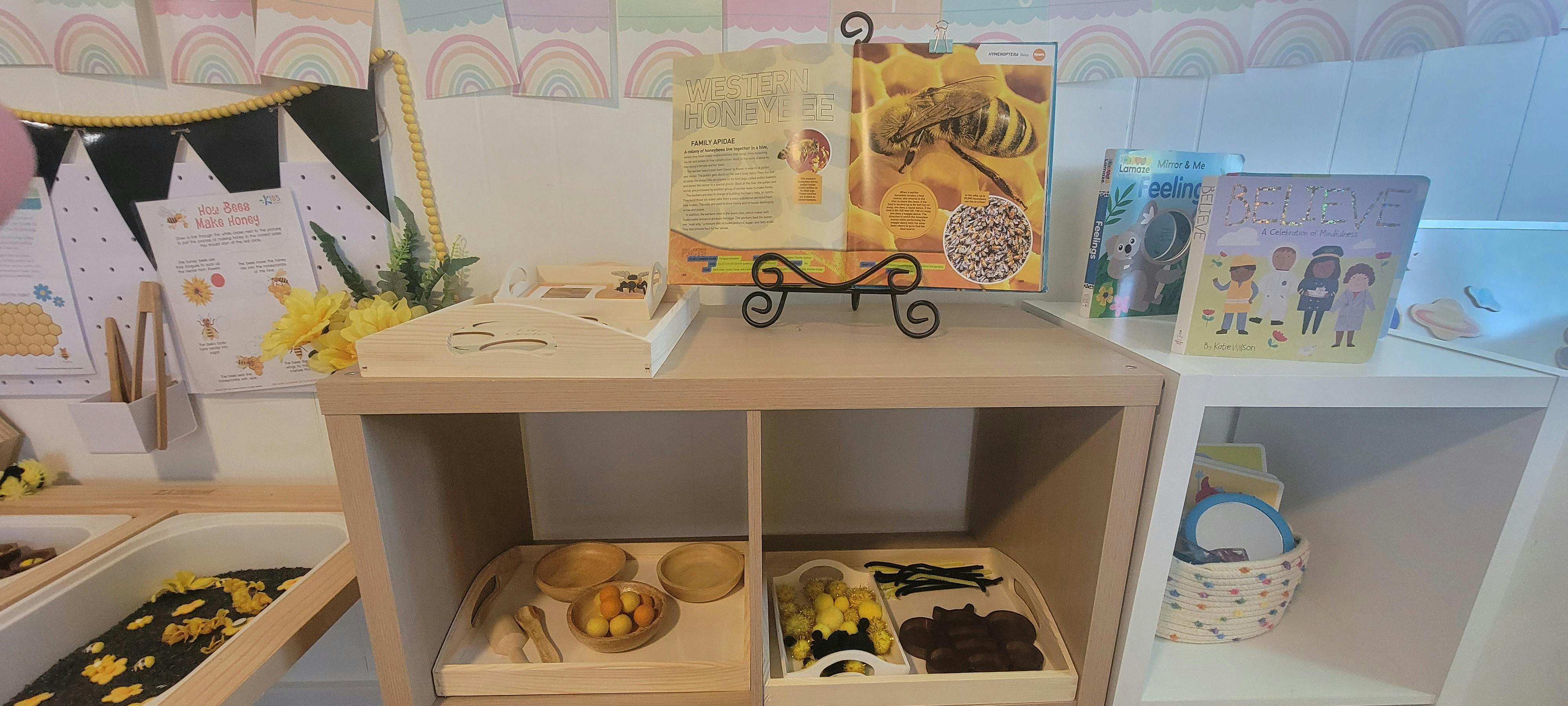 Books on a stand and shelves with various items