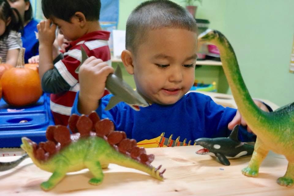 Child playing with dinosaur toys
