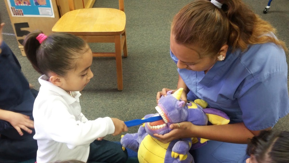 Person and child brushing teeth on a stuffed animal