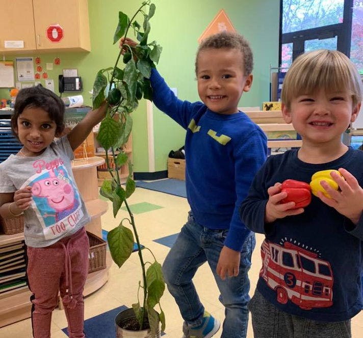 Three children with a plant and two holding bell peppers