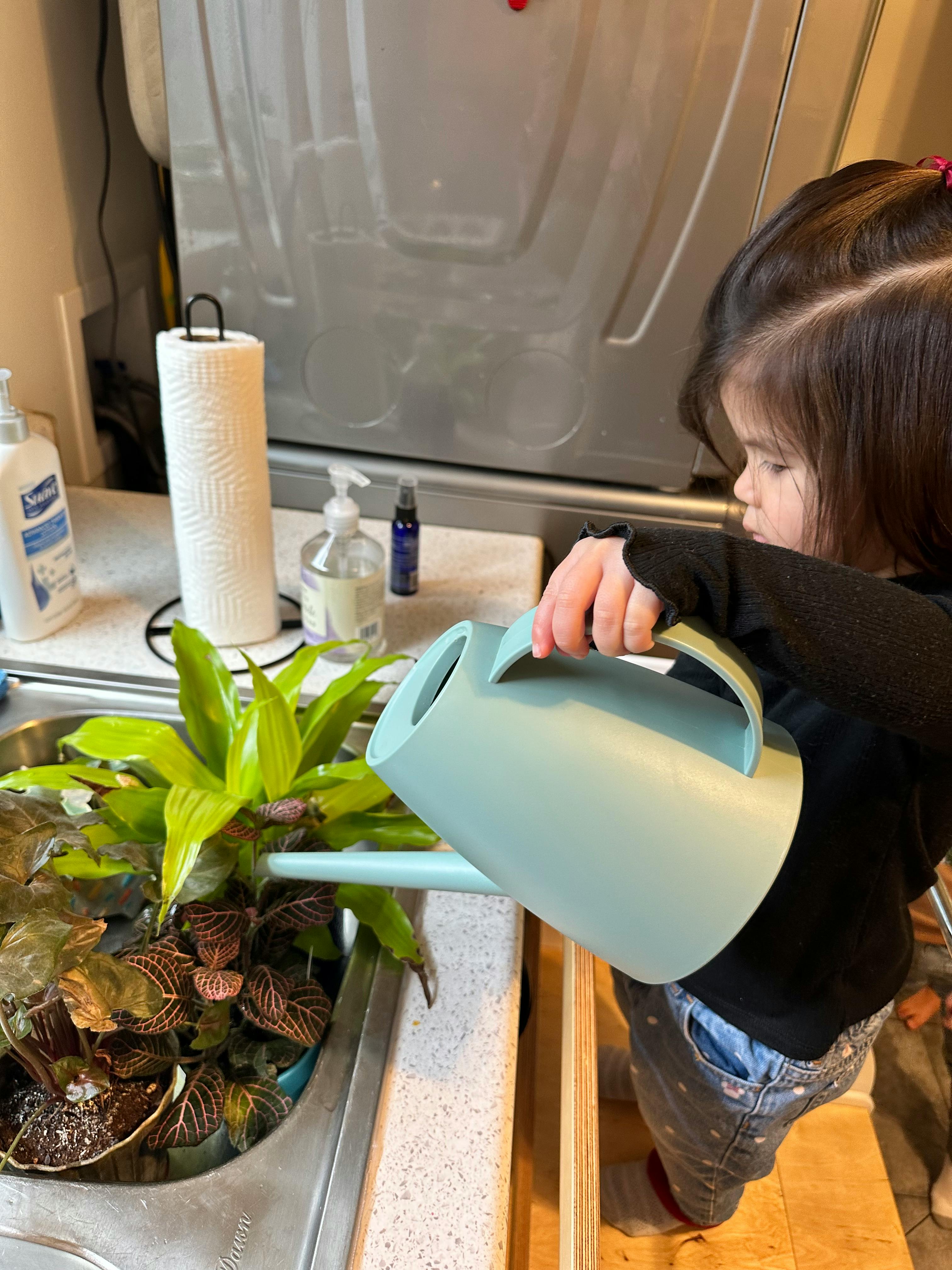 Child watering plants in a sink with a watering can