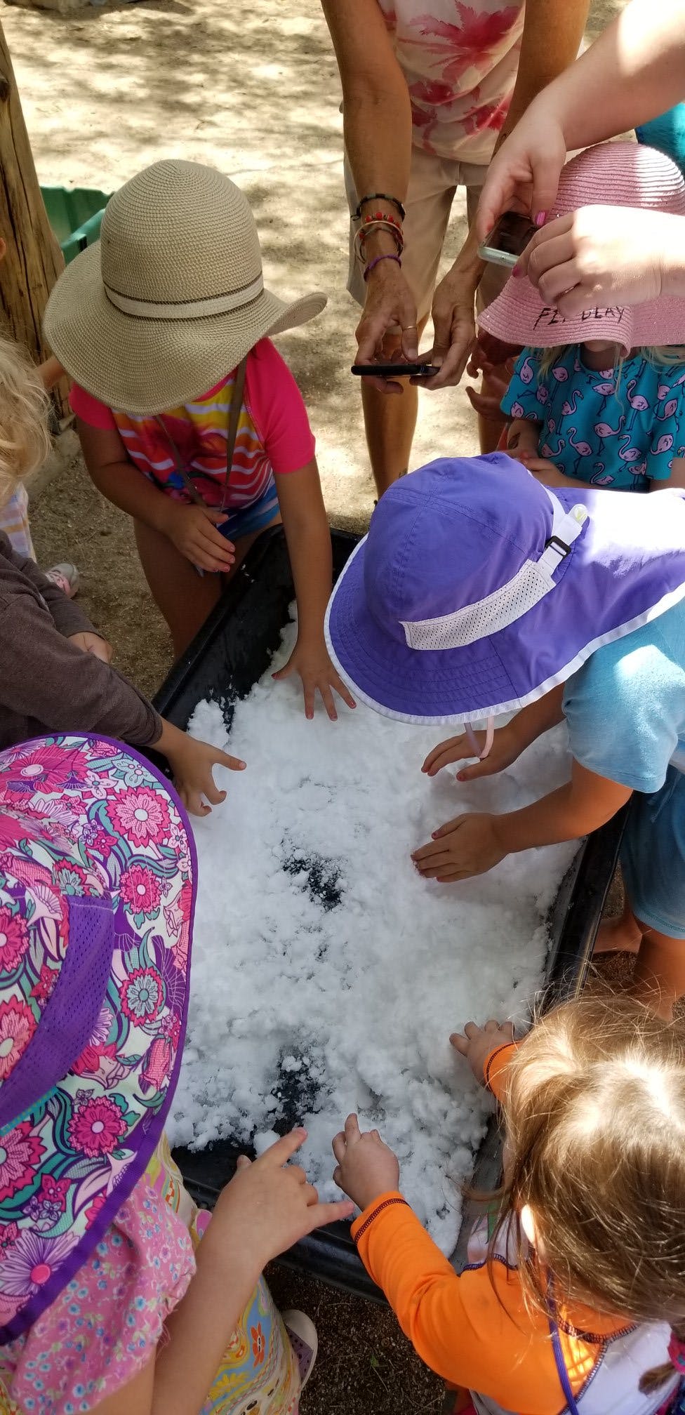 Children playing with snow in a container